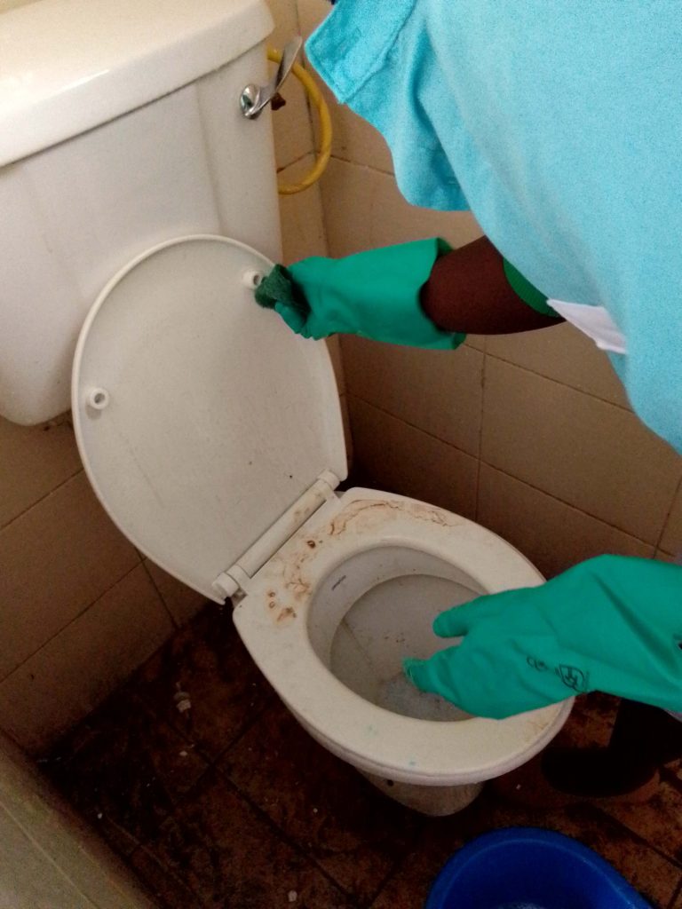 deep toilet cleaning services